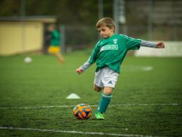 0231010-dotace-vzdelavani-sport