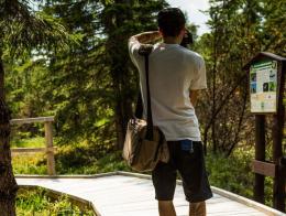 Turista