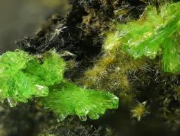 Minerály