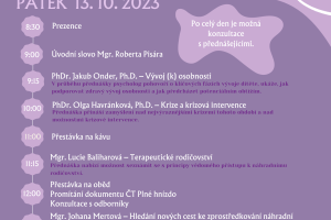 program