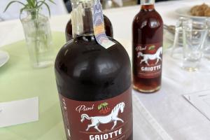 Václav Lojín – Pivní Griotte